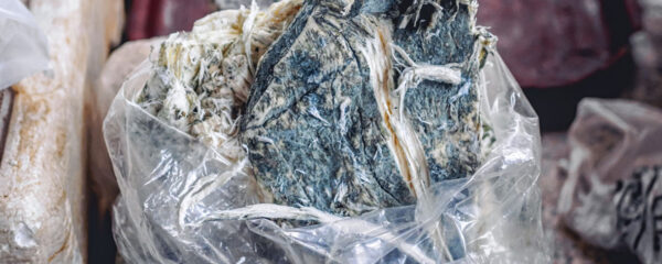 Concentré de CBD sorti de la presse dans son plastique