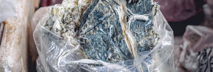 Concentré de CBD sorti de la presse dans son plastique